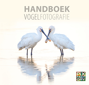 Handboek_Vogelfotografie_
