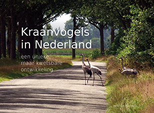 Kraanvogels_in_Nederland
