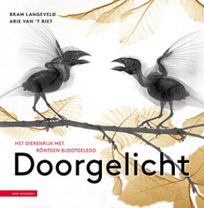 Doorgelicht