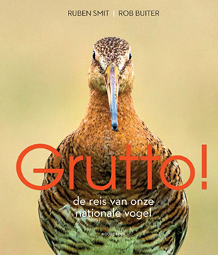 Grutto