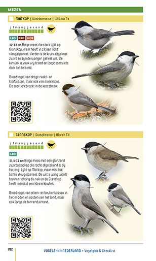 Vogels_van_Nederland_p282