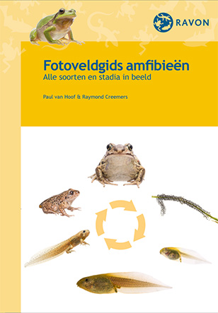 Fotoveldgids_amfibieen