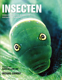 Insecten