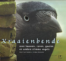 Kraaienbende