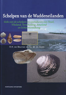 Schelpen_Waddeneilanden