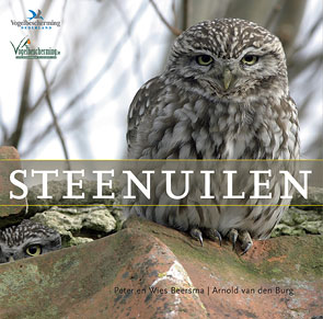 Steenuilen