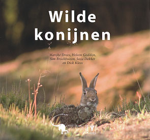 Wilde_konijnen