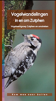 VogelwandelingenZutphen.jpg