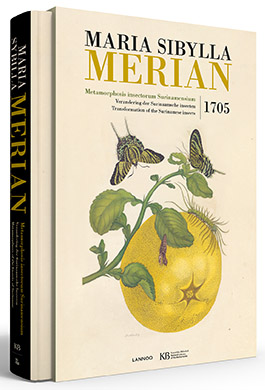 Merian_Surinaamse_Insecten.jpg