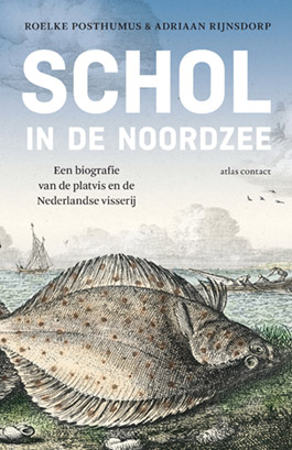 Schol_in_de_Noordzee.jpg