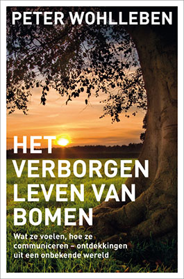 Verborgen_leven_bomen.jpg