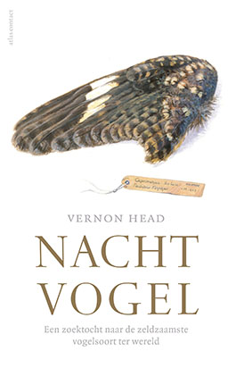 Nachtvogel.jpg