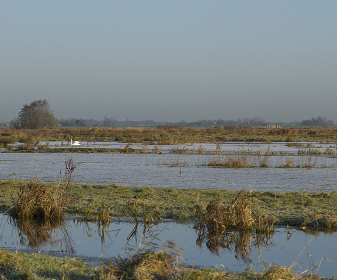 Ruygeborg111212