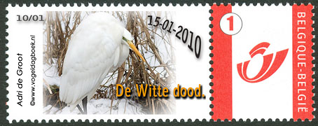 Postzegel_Belgie_grotezilverreiger.jpg