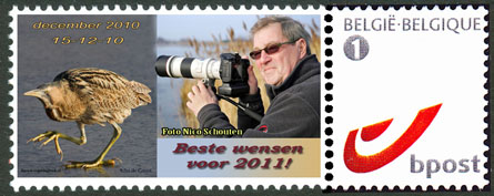 Postzegel_roerdomp.jpg