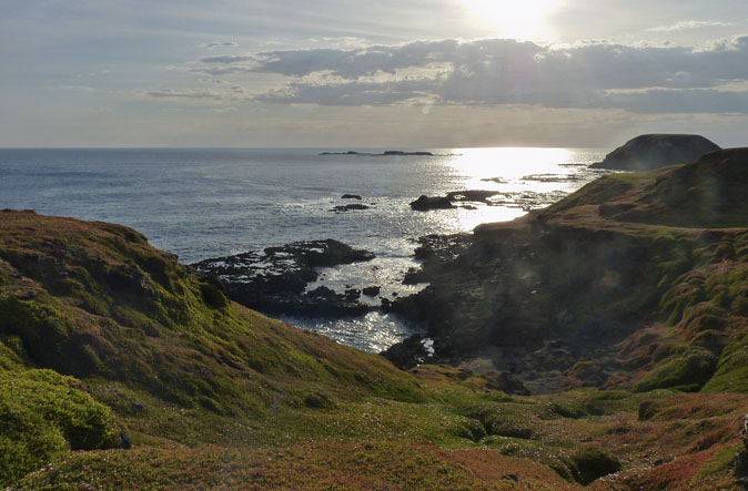 PhillipIsland020112.jpg