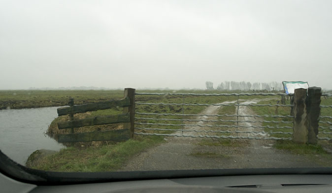 DeWilck100309D.JPG
