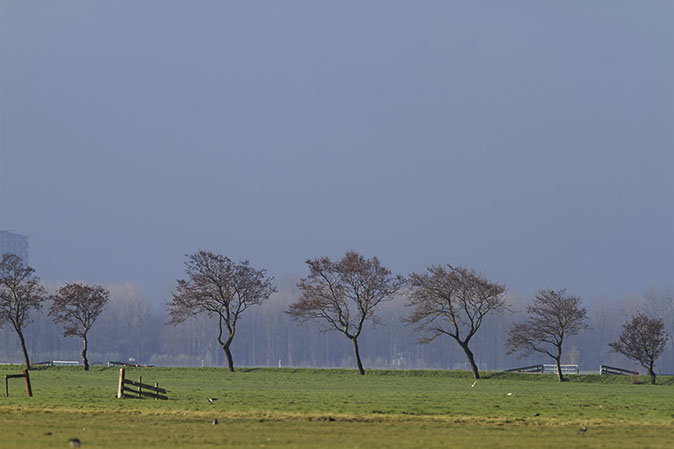 Broekweg230314