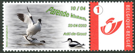 Postzegel4_kluut.jpg