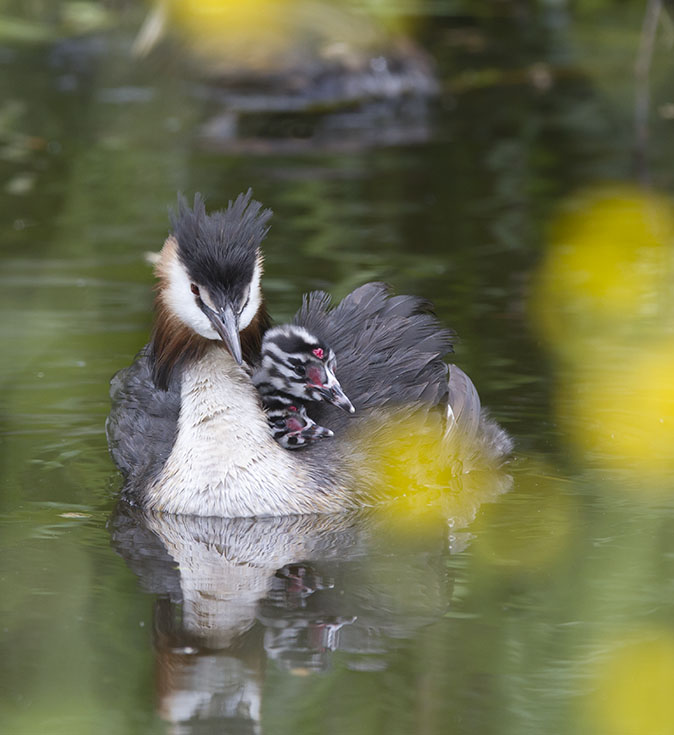 Futen070514A