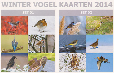 Wintervogelkaarten2014