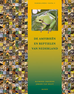 Amfibieën_reptielen_Nederland