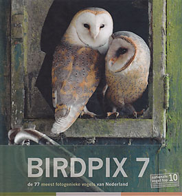 Birdpix7.jpg