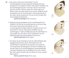 De_Nieuwe_Veldgids_Dagvlinders1.jpg