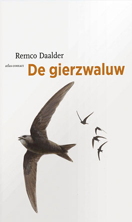 De_gierzwaluw