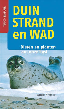 Duin_strand_wad.jpg