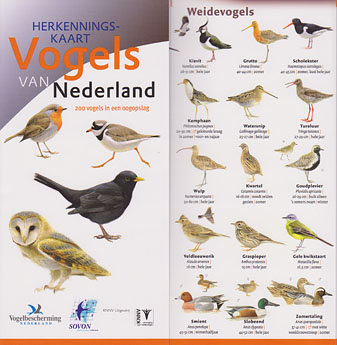 Herkenningskaart_Vogels.jpg