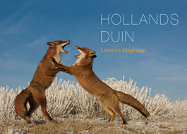 Hollands_Duin