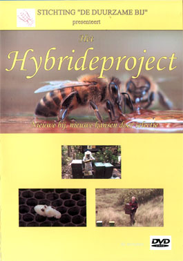 Hybrideproject.jpg