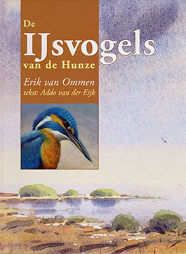 IJsvogels_Hunze.jpg