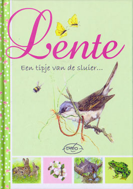 Lente.jpg