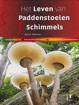 Leven_Paddenstoelen_Schimmels