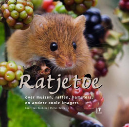 Ratjetoe.jpg