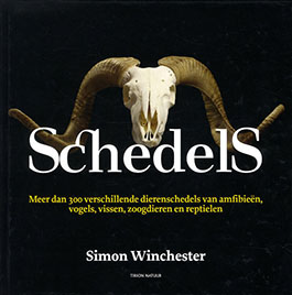 Schedels