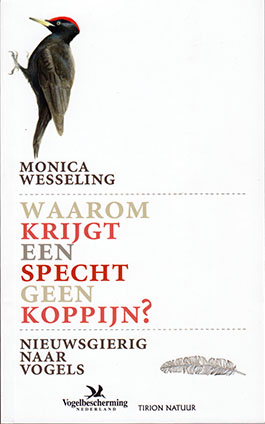 Specht_koppijn.jpg