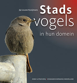 Stadsvogels_in_hun_domein