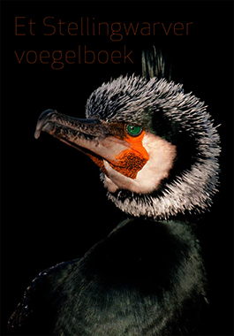 Stellingwarver_voegelboek