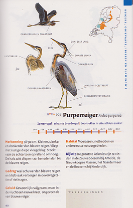 Zakids_Vogels_Nederland2.jpg